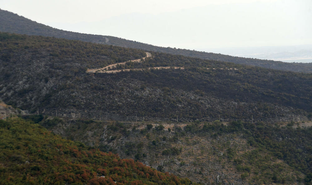 <p>“Ovo su naši pradjedovi radili, ova imanja i sela krvavo su stečena”, svjedoči Jonus Purović iz Mjegotina</p>  <p>“Nema tog novca koji može da nadoknadi štetu koja je ovdje načinjena”, govori s mukom Ratko Đukić, mještanin Pipera</p>  <p>“Ne možemo svake godine živjeti s istim strahom”, ogorčen je Miodrag Laković iz Kuča</p>