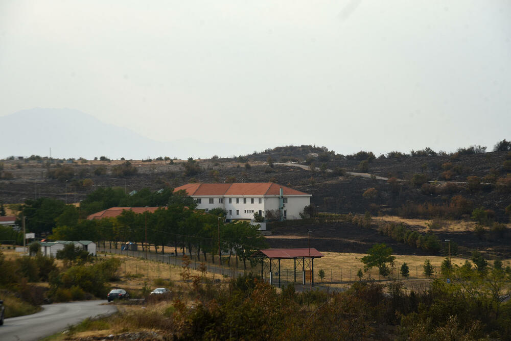 <p>“Ovo su naši pradjedovi radili, ova imanja i sela krvavo su stečena”, svjedoči Jonus Purović iz Mjegotina</p>  <p>“Nema tog novca koji može da nadoknadi štetu koja je ovdje načinjena”, govori s mukom Ratko Đukić, mještanin Pipera</p>  <p>“Ne možemo svake godine živjeti s istim strahom”, ogorčen je Miodrag Laković iz Kuča</p>