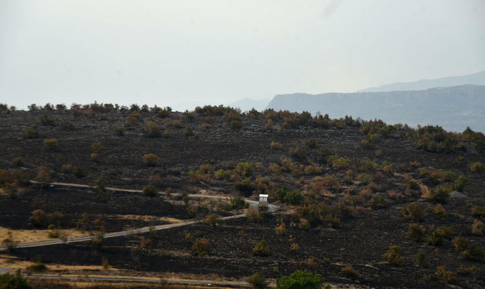 <p>“Ovo su naši pradjedovi radili, ova imanja i sela krvavo su stečena”, svjedoči Jonus Purović iz Mjegotina</p>  <p>“Nema tog novca koji može da nadoknadi štetu koja je ovdje načinjena”, govori s mukom Ratko Đukić, mještanin Pipera</p>  <p>“Ne možemo svake godine živjeti s istim strahom”, ogorčen je Miodrag Laković iz Kuča</p>