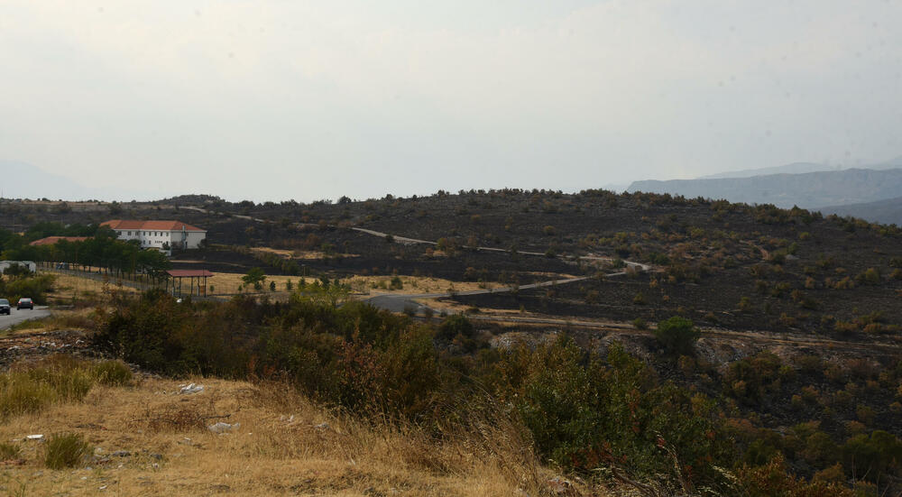 <p>“Ovo su naši pradjedovi radili, ova imanja i sela krvavo su stečena”, svjedoči Jonus Purović iz Mjegotina</p>  <p>“Nema tog novca koji može da nadoknadi štetu koja je ovdje načinjena”, govori s mukom Ratko Đukić, mještanin Pipera</p>  <p>“Ne možemo svake godine živjeti s istim strahom”, ogorčen je Miodrag Laković iz Kuča</p>