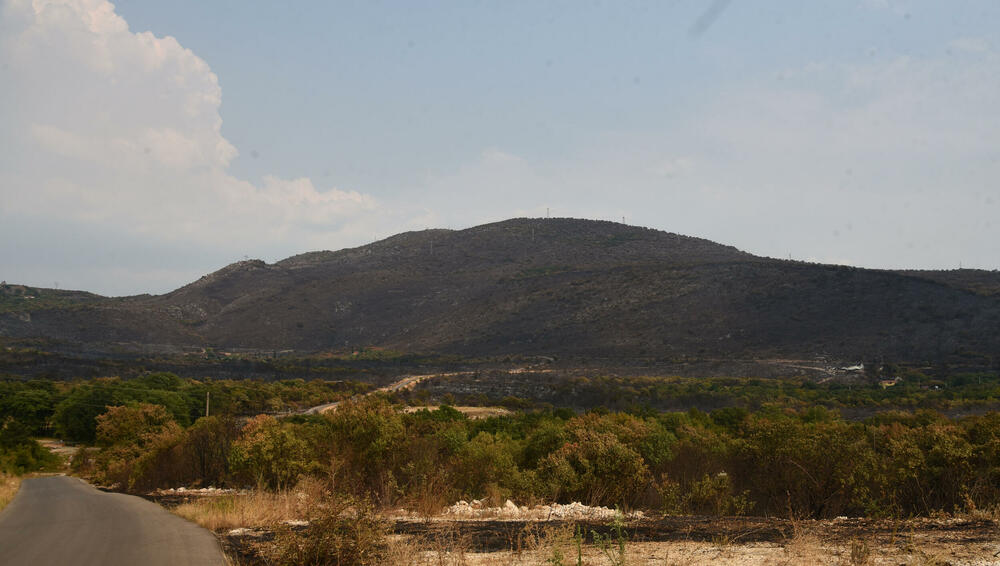<p>“Ovo su naši pradjedovi radili, ova imanja i sela krvavo su stečena”, svjedoči Jonus Purović iz Mjegotina</p>  <p>“Nema tog novca koji može da nadoknadi štetu koja je ovdje načinjena”, govori s mukom Ratko Đukić, mještanin Pipera</p>  <p>“Ne možemo svake godine živjeti s istim strahom”, ogorčen je Miodrag Laković iz Kuča</p>