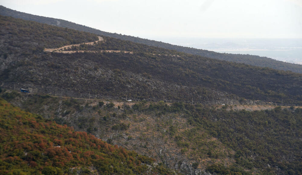 <p>“Ovo su naši pradjedovi radili, ova imanja i sela krvavo su stečena”, svjedoči Jonus Purović iz Mjegotina</p>  <p>“Nema tog novca koji može da nadoknadi štetu koja je ovdje načinjena”, govori s mukom Ratko Đukić, mještanin Pipera</p>  <p>“Ne možemo svake godine živjeti s istim strahom”, ogorčen je Miodrag Laković iz Kuča</p>