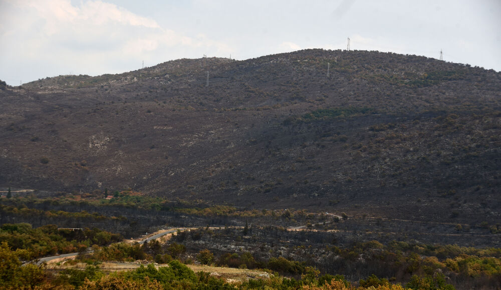 <p>“Ovo su naši pradjedovi radili, ova imanja i sela krvavo su stečena”, svjedoči Jonus Purović iz Mjegotina</p>  <p>“Nema tog novca koji može da nadoknadi štetu koja je ovdje načinjena”, govori s mukom Ratko Đukić, mještanin Pipera</p>  <p>“Ne možemo svake godine živjeti s istim strahom”, ogorčen je Miodrag Laković iz Kuča</p>