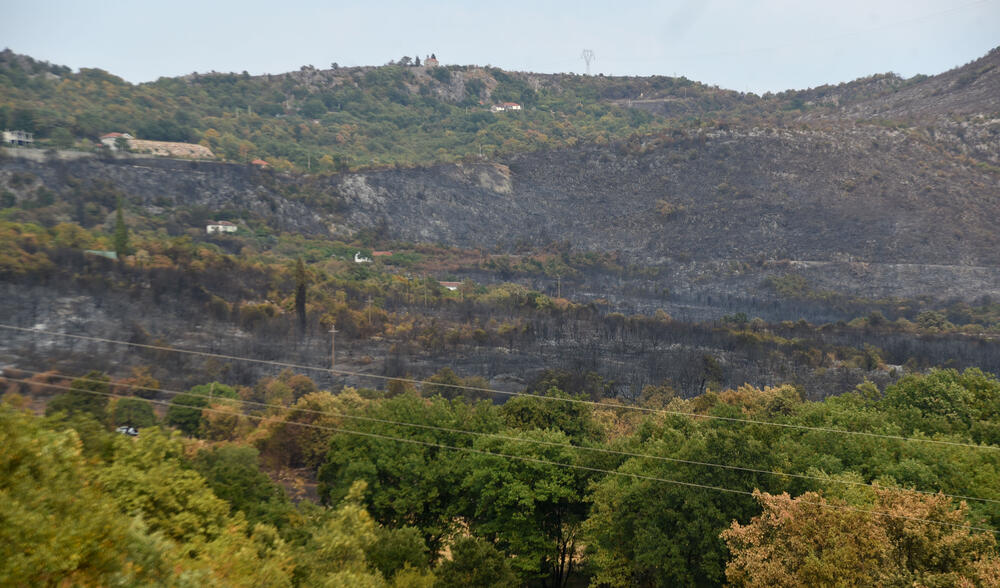 <p>“Ovo su naši pradjedovi radili, ova imanja i sela krvavo su stečena”, svjedoči Jonus Purović iz Mjegotina</p>  <p>“Nema tog novca koji može da nadoknadi štetu koja je ovdje načinjena”, govori s mukom Ratko Đukić, mještanin Pipera</p>  <p>“Ne možemo svake godine živjeti s istim strahom”, ogorčen je Miodrag Laković iz Kuča</p>