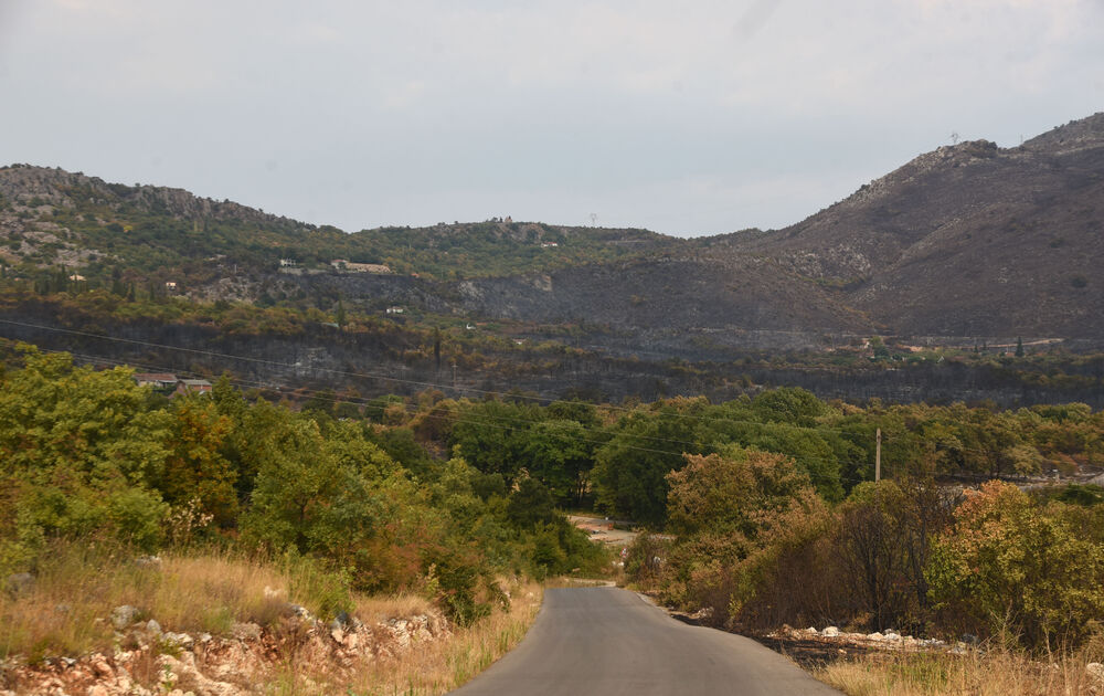 <p>“Ovo su naši pradjedovi radili, ova imanja i sela krvavo su stečena”, svjedoči Jonus Purović iz Mjegotina</p>  <p>“Nema tog novca koji može da nadoknadi štetu koja je ovdje načinjena”, govori s mukom Ratko Đukić, mještanin Pipera</p>  <p>“Ne možemo svake godine živjeti s istim strahom”, ogorčen je Miodrag Laković iz Kuča</p>