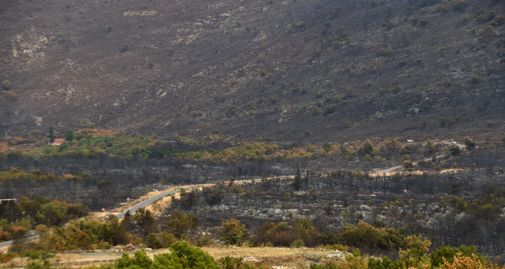 <p>“Ovo su naši pradjedovi radili, ova imanja i sela krvavo su stečena”, svjedoči Jonus Purović iz Mjegotina</p>  <p>“Nema tog novca koji može da nadoknadi štetu koja je ovdje načinjena”, govori s mukom Ratko Đukić, mještanin Pipera</p>  <p>“Ne možemo svake godine živjeti s istim strahom”, ogorčen je Miodrag Laković iz Kuča</p>