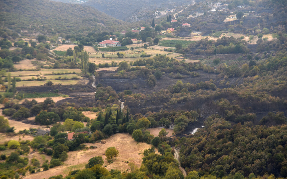<p>“Ovo su naši pradjedovi radili, ova imanja i sela krvavo su stečena”, svjedoči Jonus Purović iz Mjegotina</p>  <p>“Nema tog novca koji može da nadoknadi štetu koja je ovdje načinjena”, govori s mukom Ratko Đukić, mještanin Pipera</p>  <p>“Ne možemo svake godine živjeti s istim strahom”, ogorčen je Miodrag Laković iz Kuča</p>