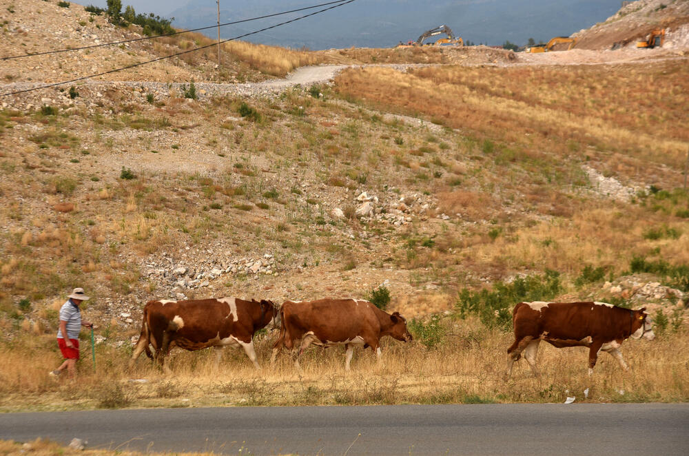 <p>“Ovo su naši pradjedovi radili, ova imanja i sela krvavo su stečena”, svjedoči Jonus Purović iz Mjegotina</p>  <p>“Nema tog novca koji može da nadoknadi štetu koja je ovdje načinjena”, govori s mukom Ratko Đukić, mještanin Pipera</p>  <p>“Ne možemo svake godine živjeti s istim strahom”, ogorčen je Miodrag Laković iz Kuča</p>