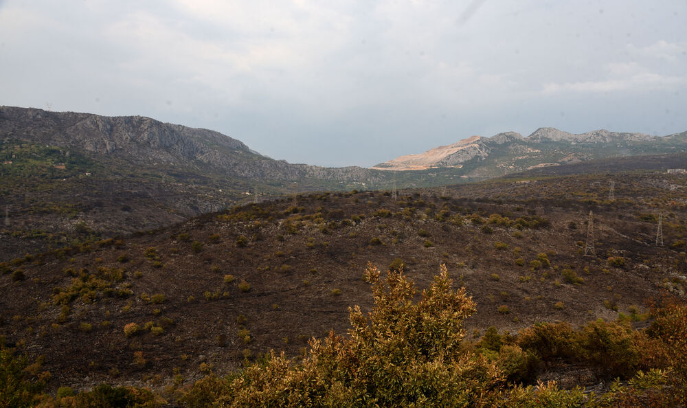 <p>“Ovo su naši pradjedovi radili, ova imanja i sela krvavo su stečena”, svjedoči Jonus Purović iz Mjegotina</p>  <p>“Nema tog novca koji može da nadoknadi štetu koja je ovdje načinjena”, govori s mukom Ratko Đukić, mještanin Pipera</p>  <p>“Ne možemo svake godine živjeti s istim strahom”, ogorčen je Miodrag Laković iz Kuča</p>