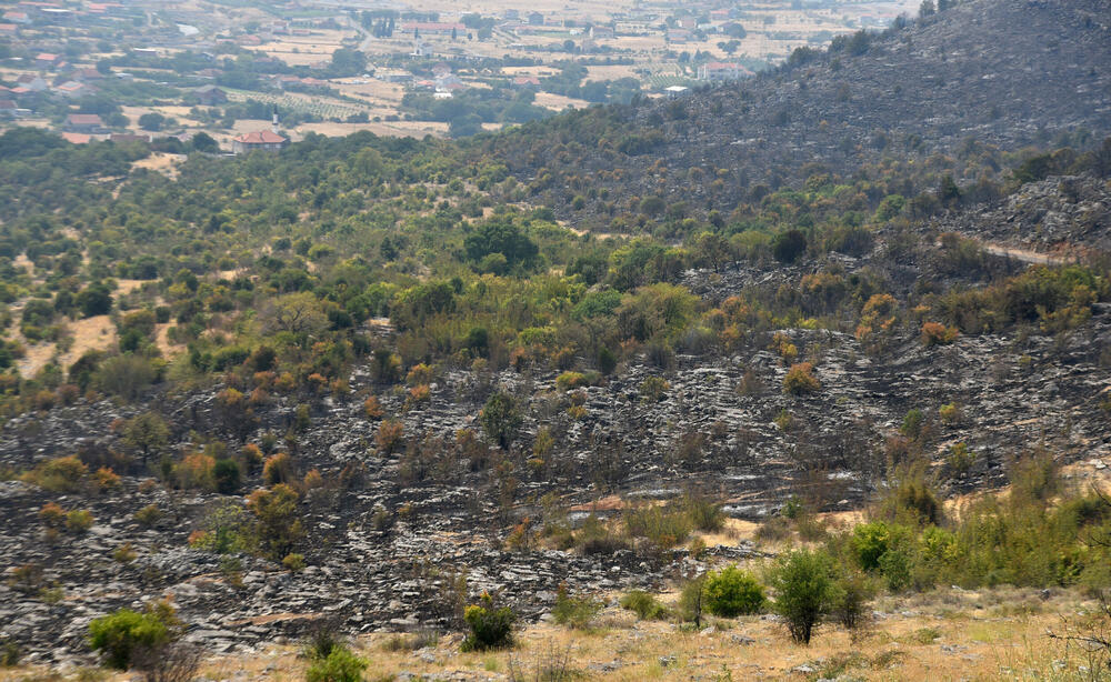<p>“Ovo su naši pradjedovi radili, ova imanja i sela krvavo su stečena”, svjedoči Jonus Purović iz Mjegotina</p>  <p>“Nema tog novca koji može da nadoknadi štetu koja je ovdje načinjena”, govori s mukom Ratko Đukić, mještanin Pipera</p>  <p>“Ne možemo svake godine živjeti s istim strahom”, ogorčen je Miodrag Laković iz Kuča</p>