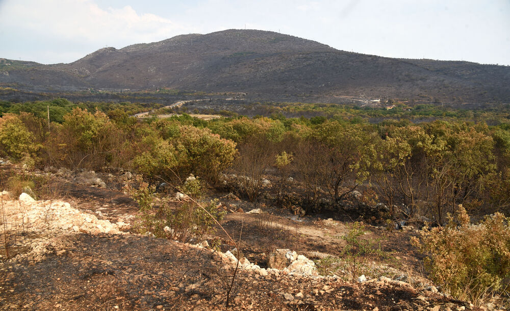 <p>“Ovo su naši pradjedovi radili, ova imanja i sela krvavo su stečena”, svjedoči Jonus Purović iz Mjegotina</p>  <p>“Nema tog novca koji može da nadoknadi štetu koja je ovdje načinjena”, govori s mukom Ratko Đukić, mještanin Pipera</p>  <p>“Ne možemo svake godine živjeti s istim strahom”, ogorčen je Miodrag Laković iz Kuča</p>