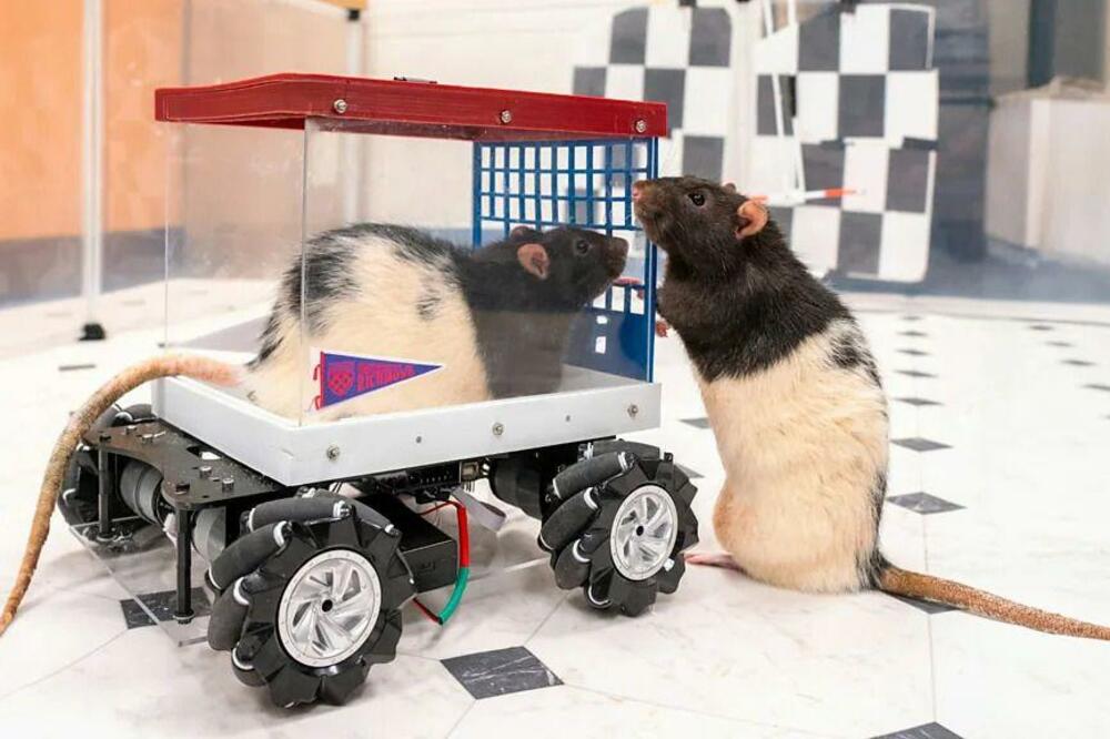 Foto: Univerzitet u Ričmondu