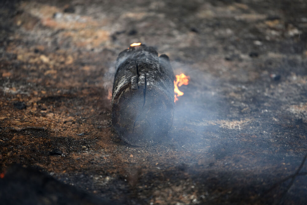 <p>Kiša je juče bila i pomoć i spas za umorne crnogorske vatrogasce-spasioce, njihove kolege na kopnu iz Austrije i Švajcarske, pripadnike Vojske Crne Gore, mještane, posade Crne Gore, Srbije, Bosne i Hercegovine i Češke</p>  <p>Tokom dana stanje sa požarima je stabilizovano, a sinoć su bili aktivni požari na Topolovu u Danilovgradu i Petrovićima u Nikšiću, ali su vatrogasci držali pod kontrolom te lokacije</p>