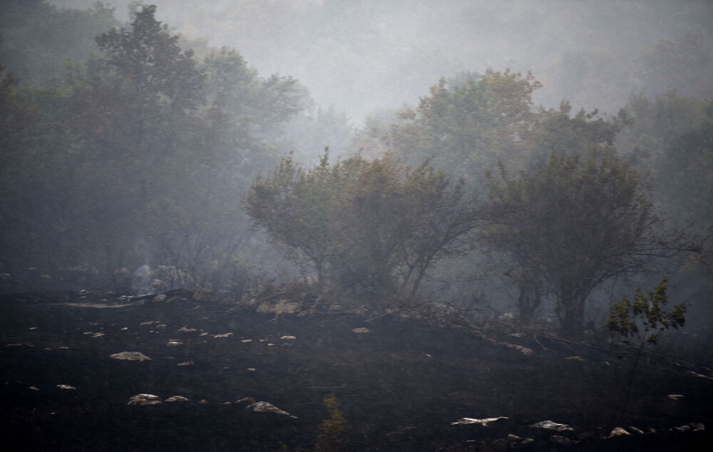 Javni poziv za podnošenje zahtjeva za procjenu štete od požara na...