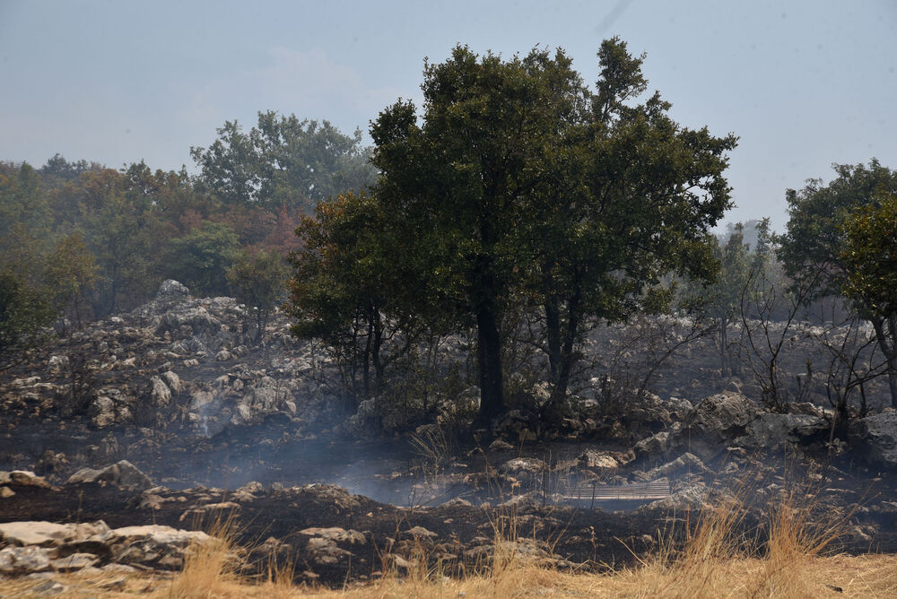 <p>Kiša je juče bila i pomoć i spas za umorne crnogorske vatrogasce-spasioce, njihove kolege na kopnu iz Austrije i Švajcarske, pripadnike Vojske Crne Gore, mještane, posade Crne Gore, Srbije, Bosne i Hercegovine i Češke</p>  <p>Tokom dana stanje sa požarima je stabilizovano, a sinoć su bili aktivni požari na Topolovu u Danilovgradu i Petrovićima u Nikšiću, ali su vatrogasci držali pod kontrolom te lokacije</p>