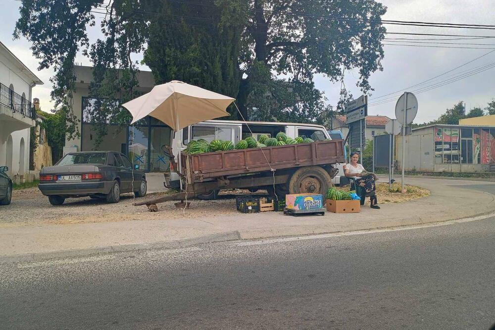 Čuvene su lubenice iz ovog kraja, Foto: Samir Adrović