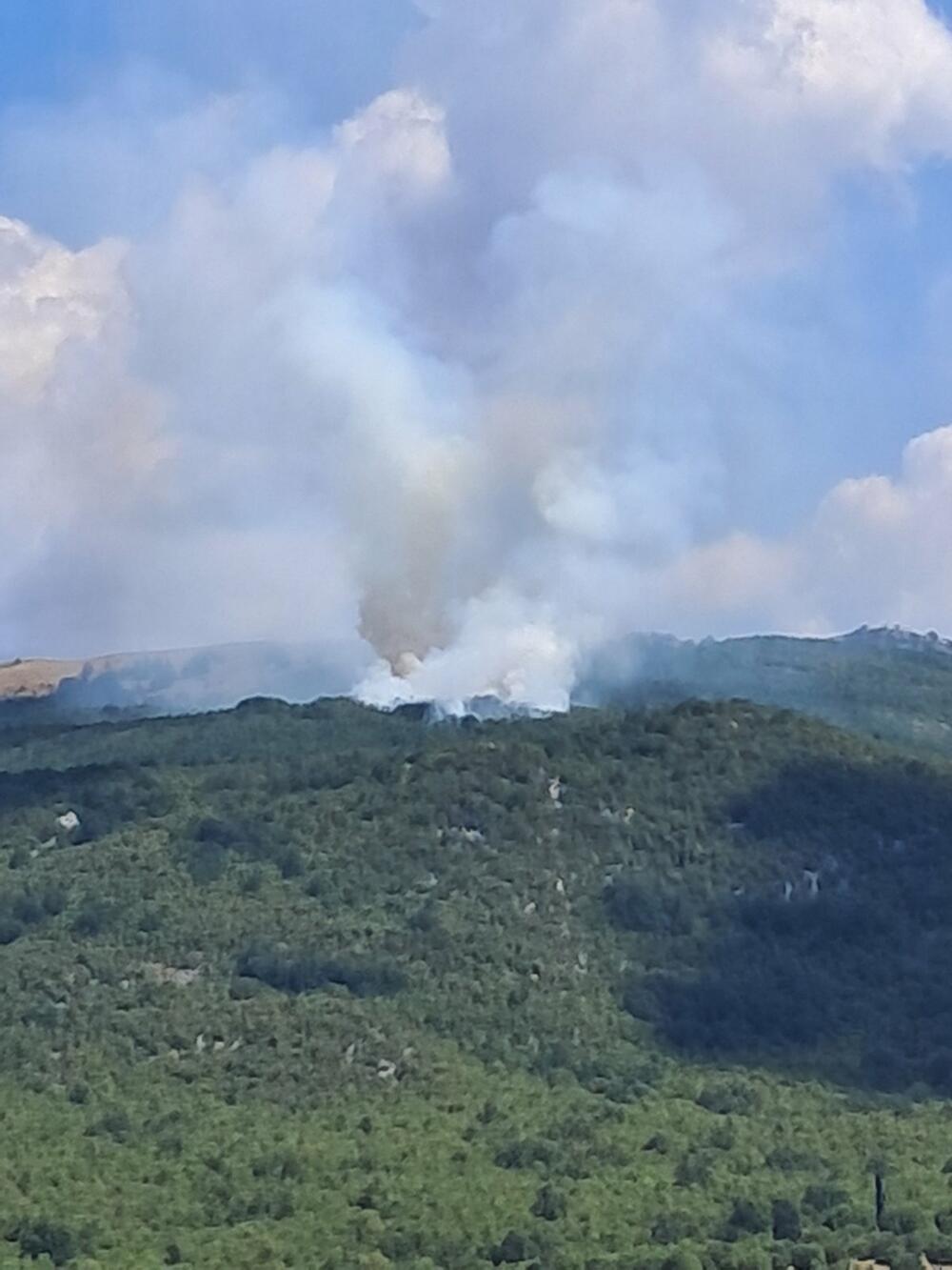 Tadić: Veći šumski požar iznad Lukova, vjetar otežava stavljanje...
