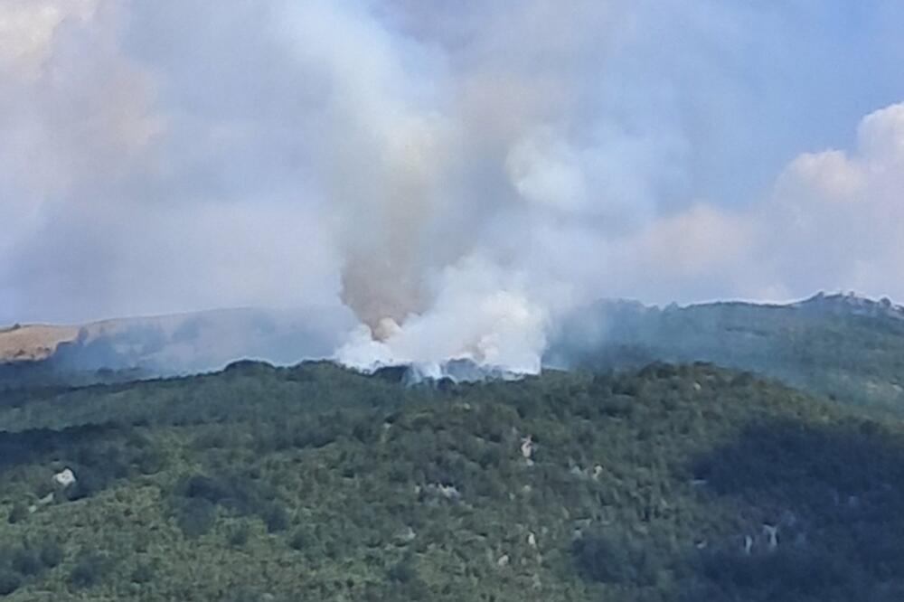 Juče u Nikšiću, Foto: SZS Nikšić