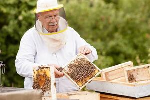 Prinosi dobri, ali ima falsifikata