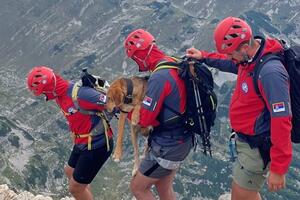 Spasili izgladnjelog psa sa Bobotovog kuka