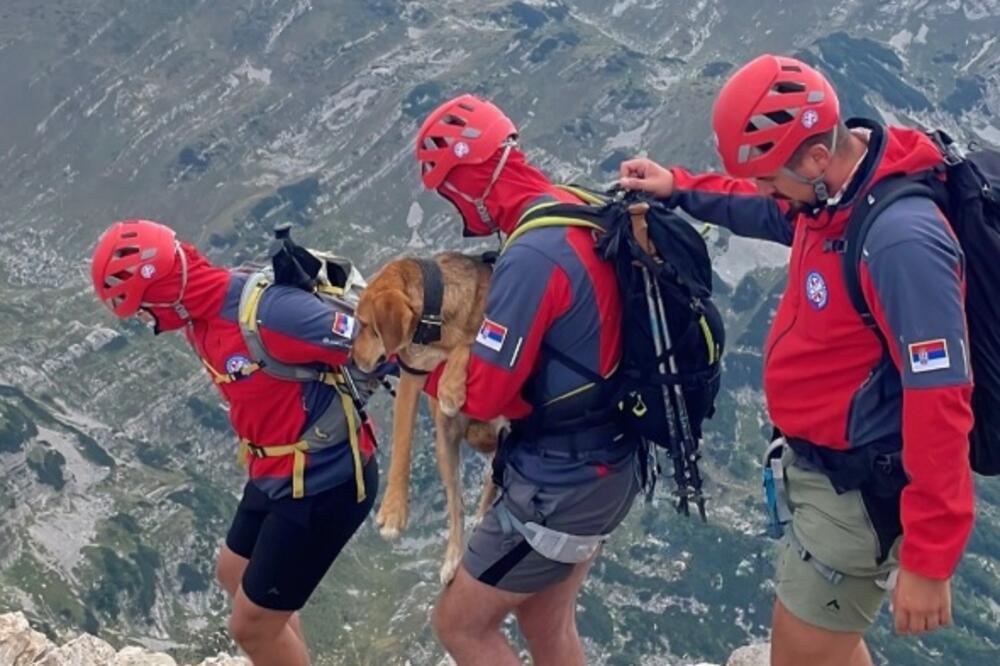 Foto: instagram.com./otis_serbia