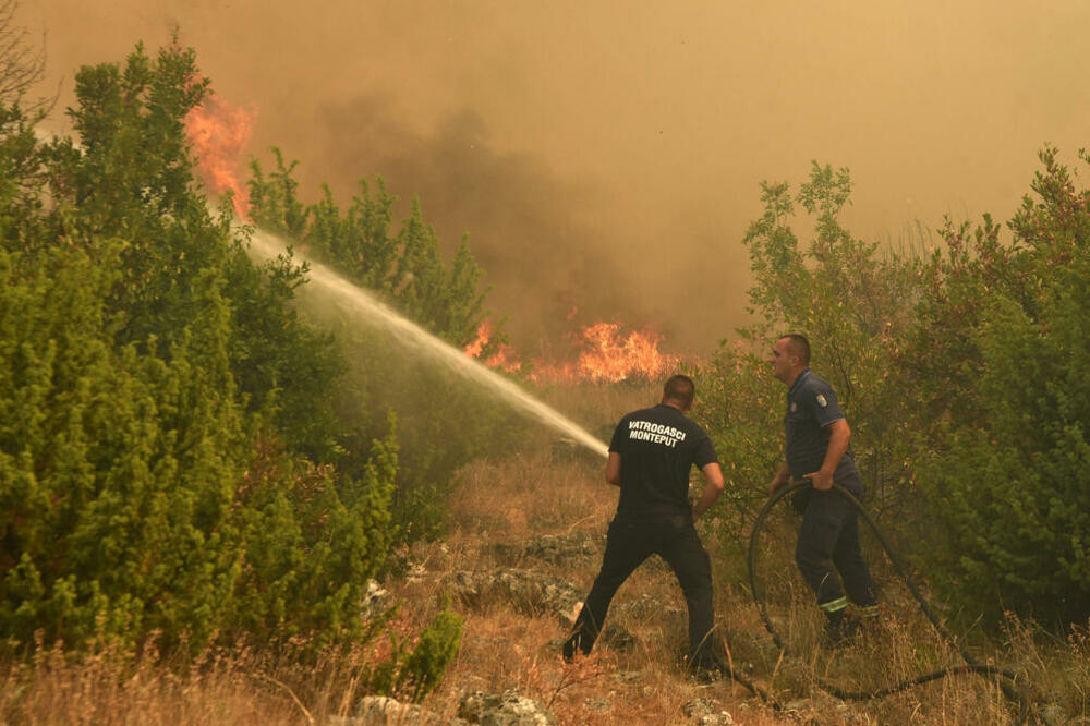 Foto: Vijesti/Boris Pejović