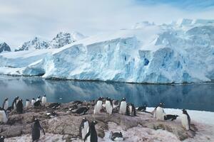 Nagli gubitak antarktičkog leda mogao bi biti klimatska prelomna...