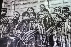 Preživjeli logoraš iz Aušvica: Neka pamćenje ne bude breme već...