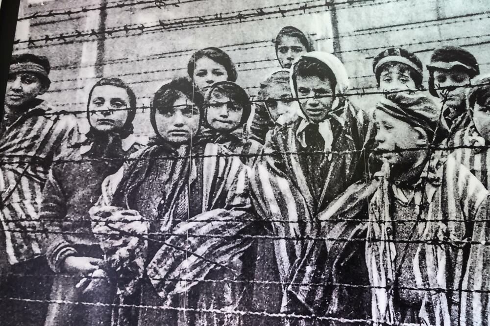 Ilustracija, Foto: Shutterstock