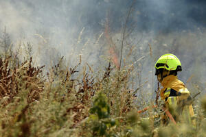 Prvi podaci o stanju biodiverziteta za pola godine