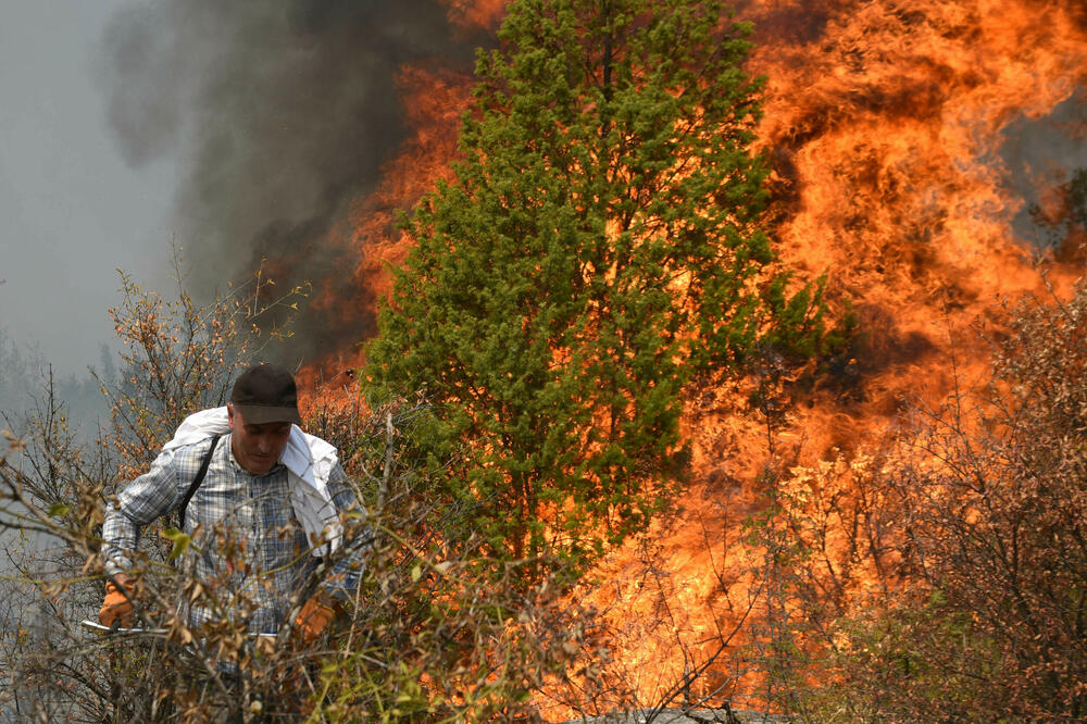 Foto: Vijesti/Boris Pejović