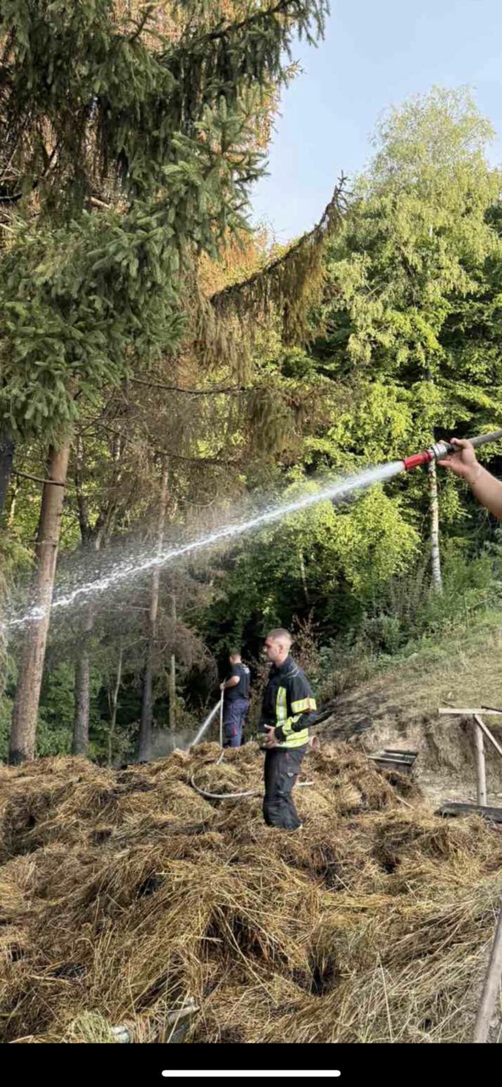 Bijelo Polje požari