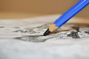 Završen Međunarodni festival karikature u Kolašinu, prva nagrada...