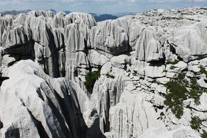 Trešteni vrh, najčudesniji komad Crne Gore