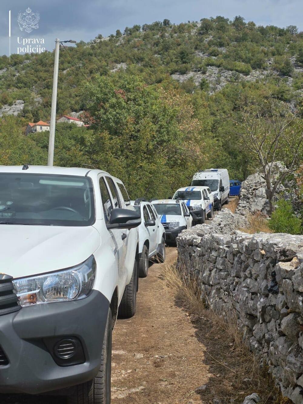 <p>Zaplijenjeno više od 13.000 sadnica marihuane, uhapšeni Zlatko Maraš i Dragan Perović</p>