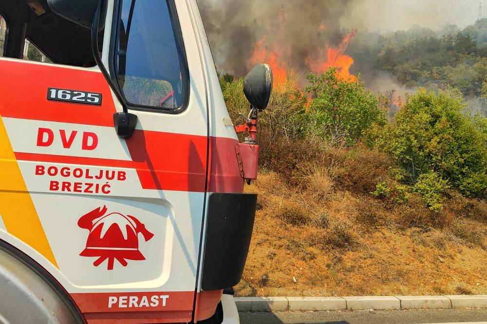 Volonteri iz Perasta u akciji, Foto: DVD Perast