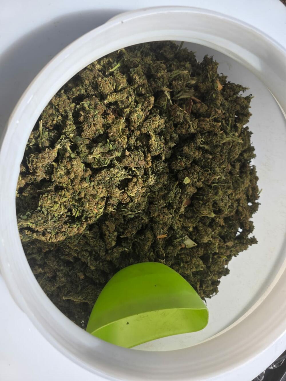 <p>Zaplijenjena droga vrijedna više od pet miliona eura</p>