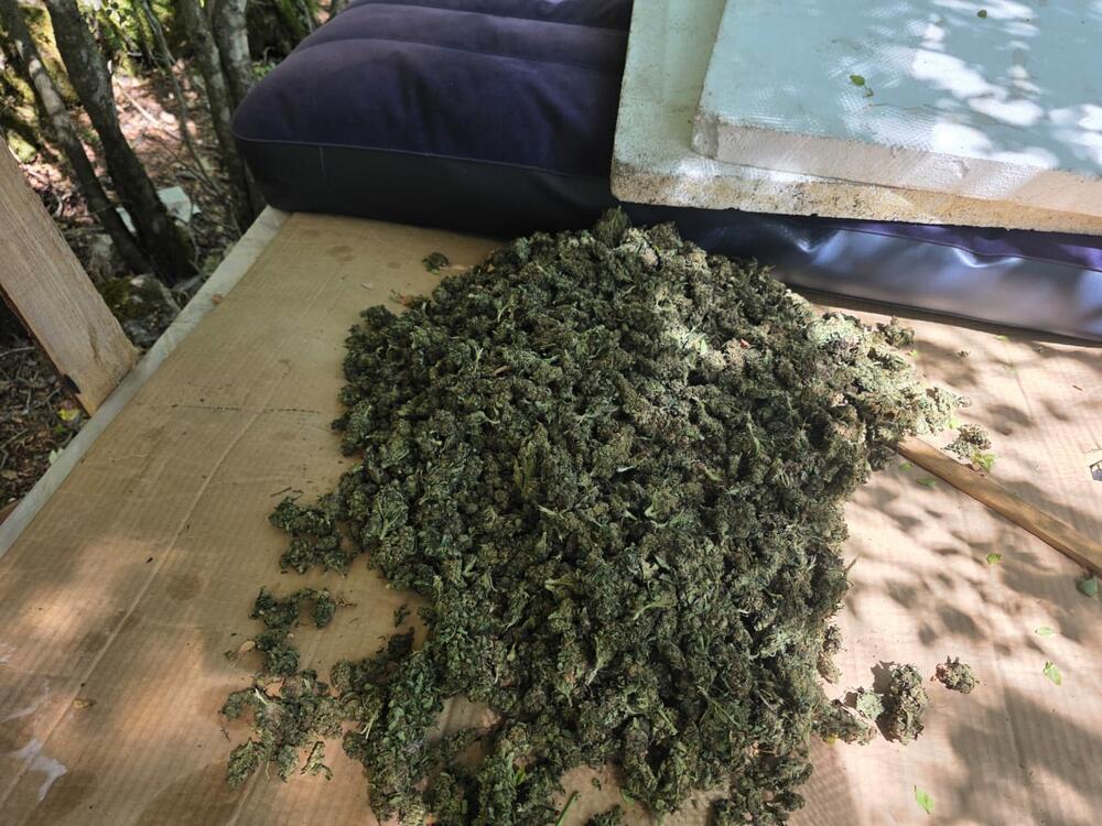 <p>Zaplijenjena droga vrijedna više od pet miliona eura</p>