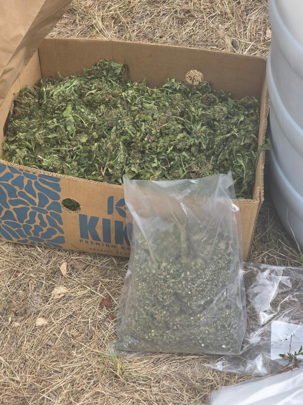 <p>Zaplijenjena droga vrijedna više od pet miliona eura</p>