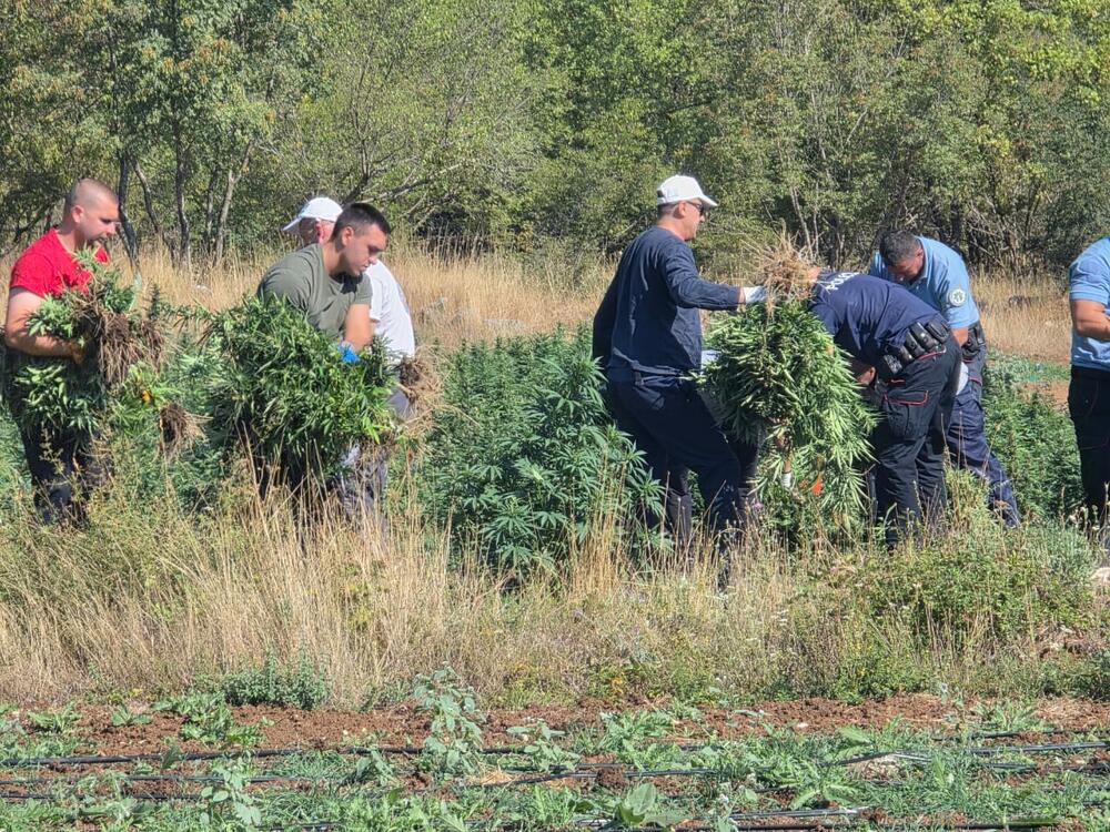 Pogledajte snimke sa lica mjesta: U akciji policije pronađena...
