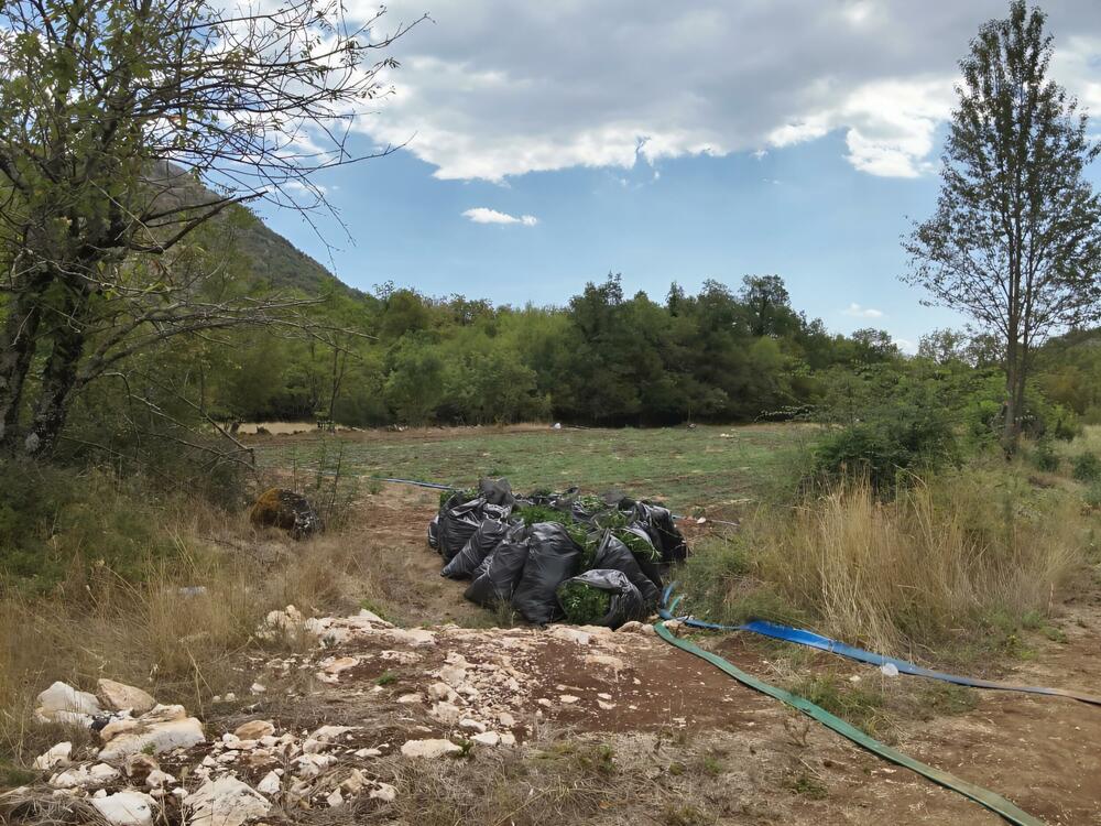 <p>Zaplijenjena droga vrijedna više od pet miliona eura</p>