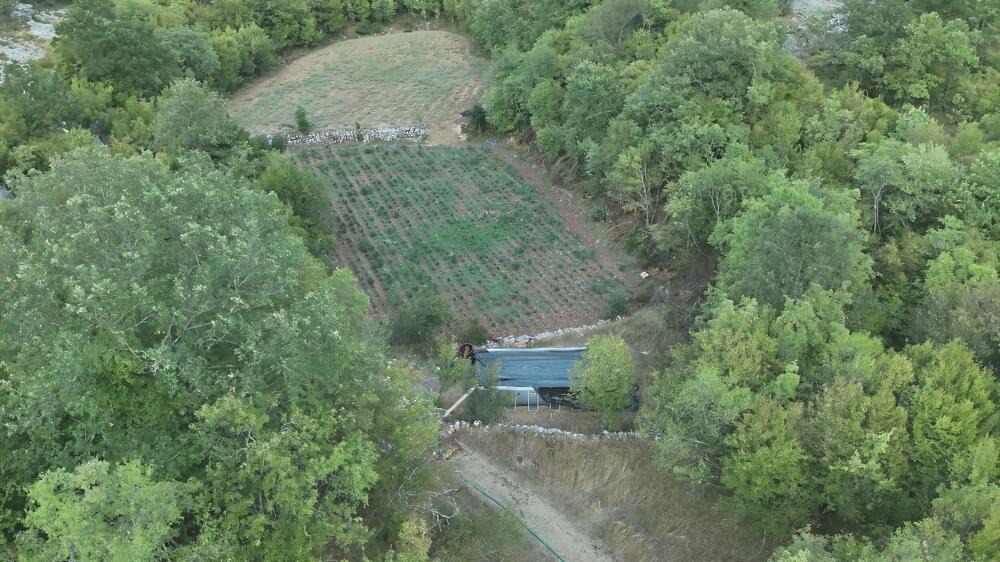 <p>Zaplijenjena droga vrijedna više od pet miliona eura</p>