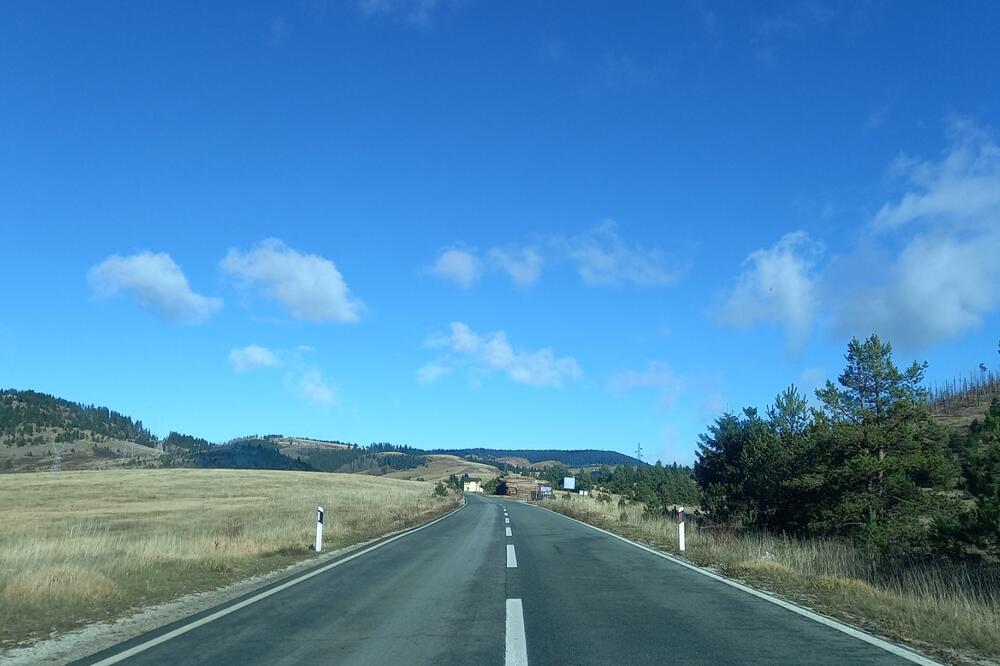 Kosanica (Ilustracija), Foto: Goran Malidžan