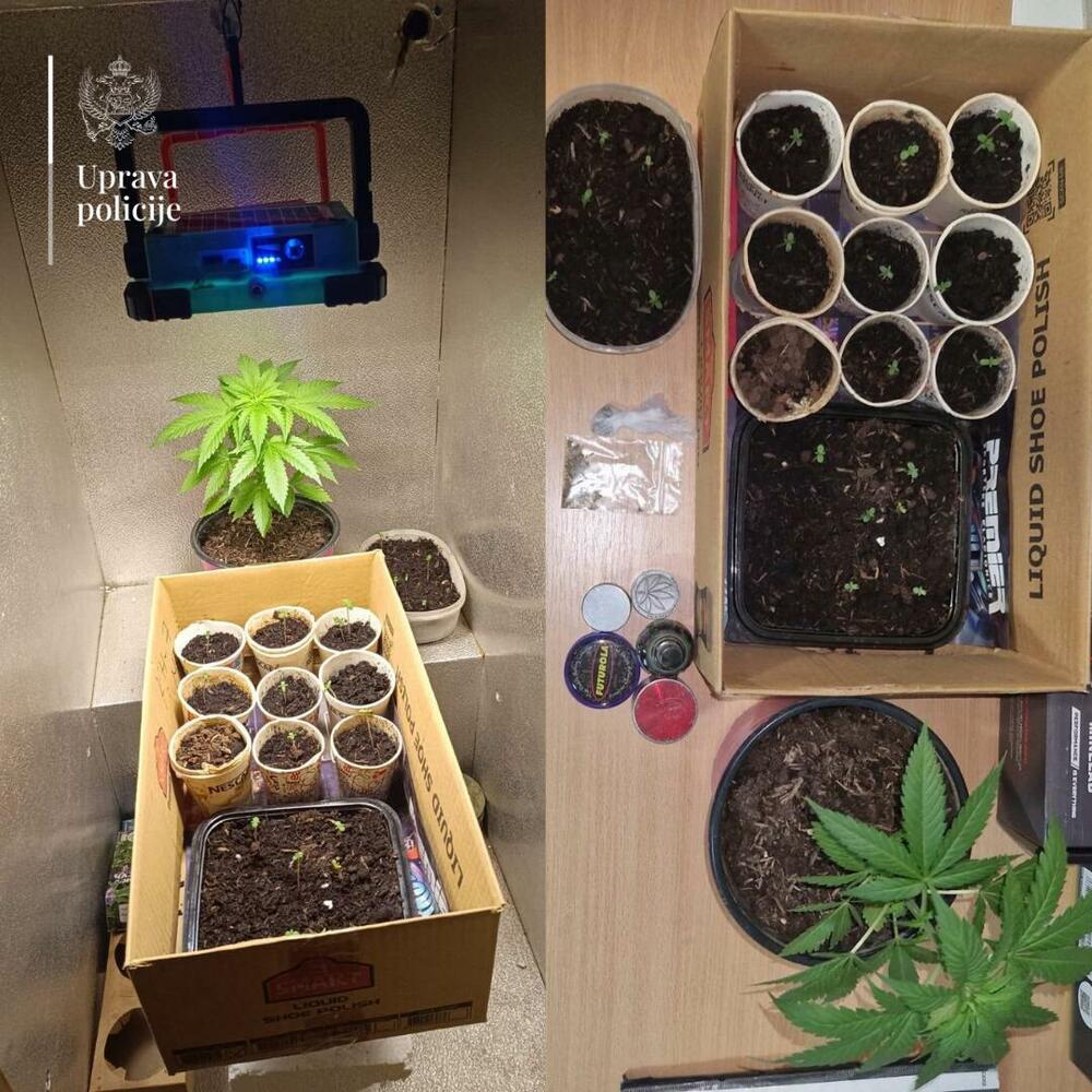 Zbog zloupotrebe narkotika krivične prijave protiv dvije osobe u...