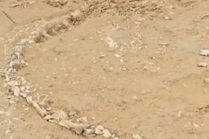 Indija: Pronađen rijedak fosil iz doba Jure