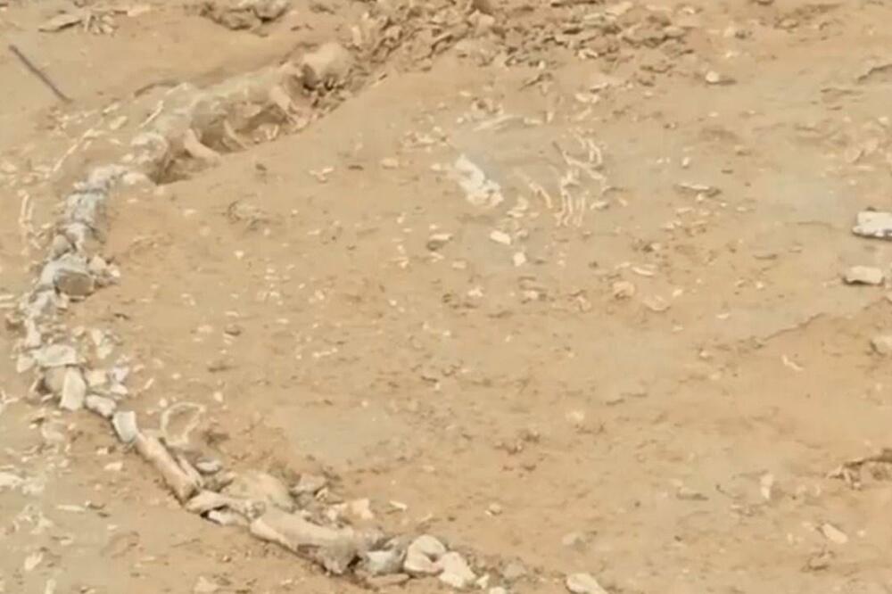 Ostaci životinje koja podsjeća na krokodila pronađeni su u indijskom selu, Foto: ANI