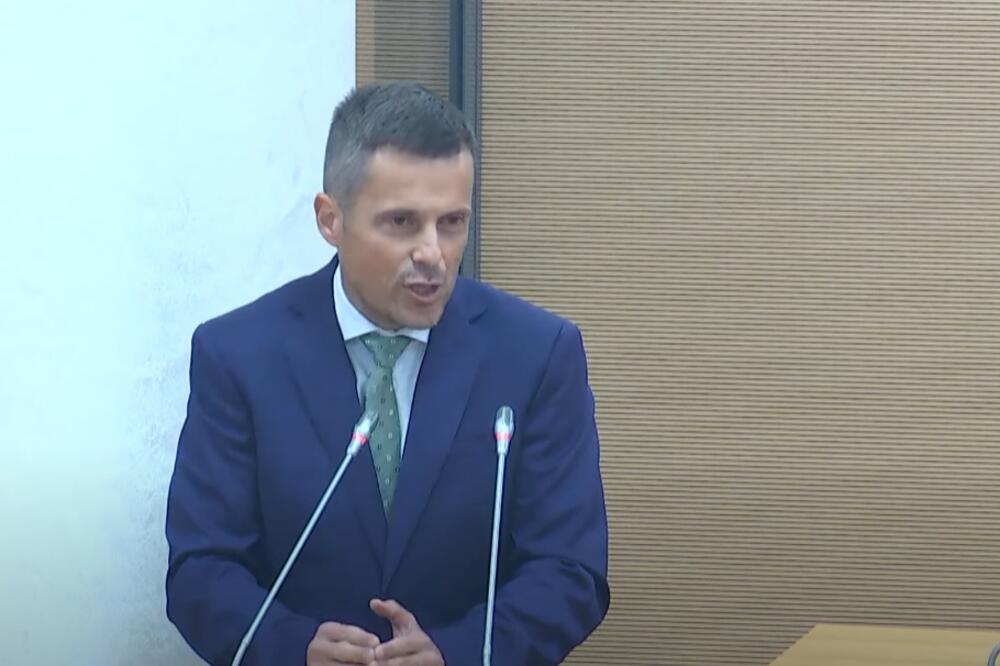 Mujović, Foto: Screenshot/Youtube