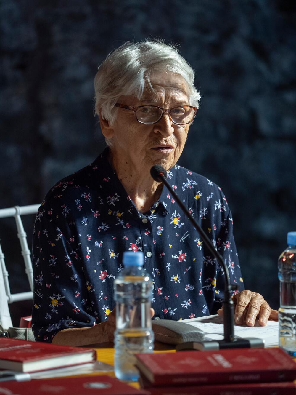 Dnevnik don Antuna Kojovića