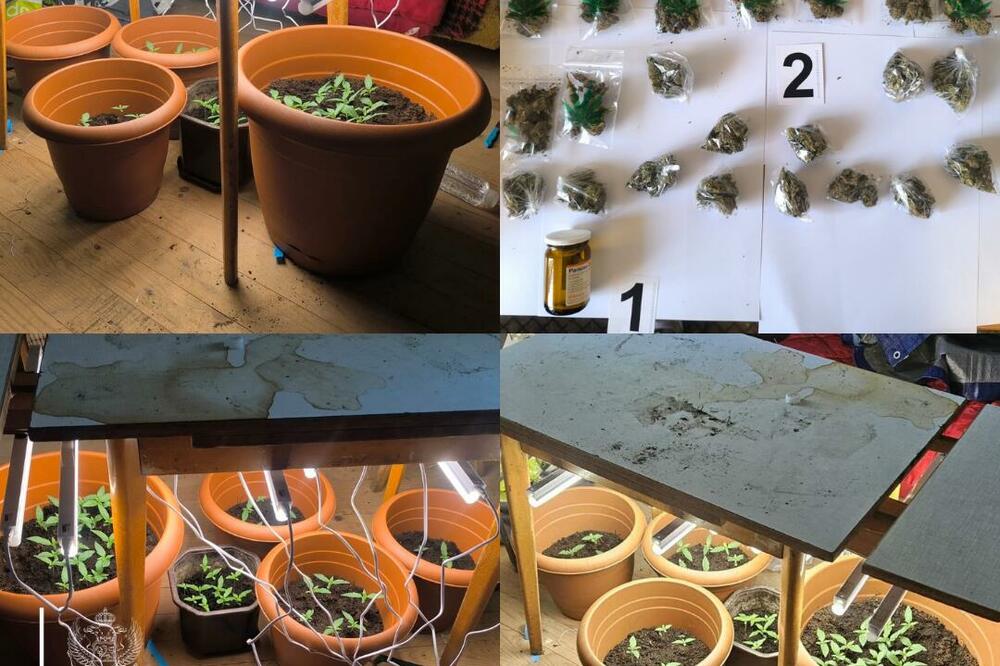 Foto: Uprava policije