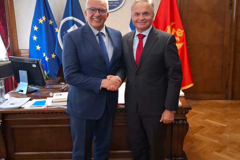 Mandić i Bećirović, Foto: Skupstina.me